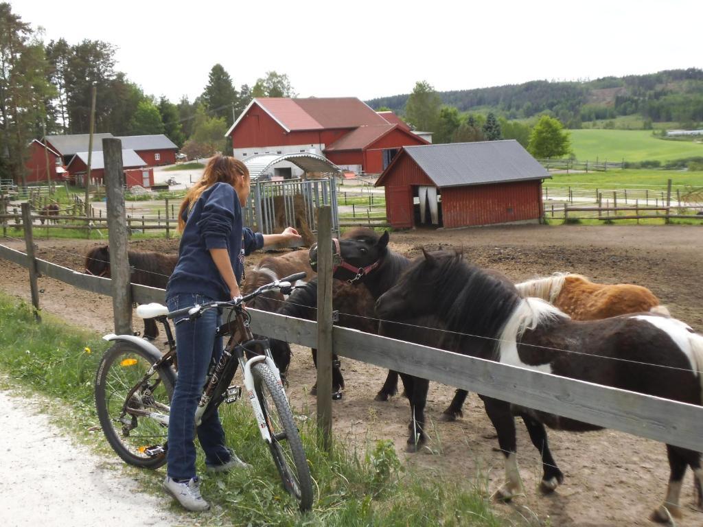 Sarpsborg Vandrerhjem Tuneheimen エクステリア 写真